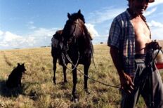 Criollos in Uruguay